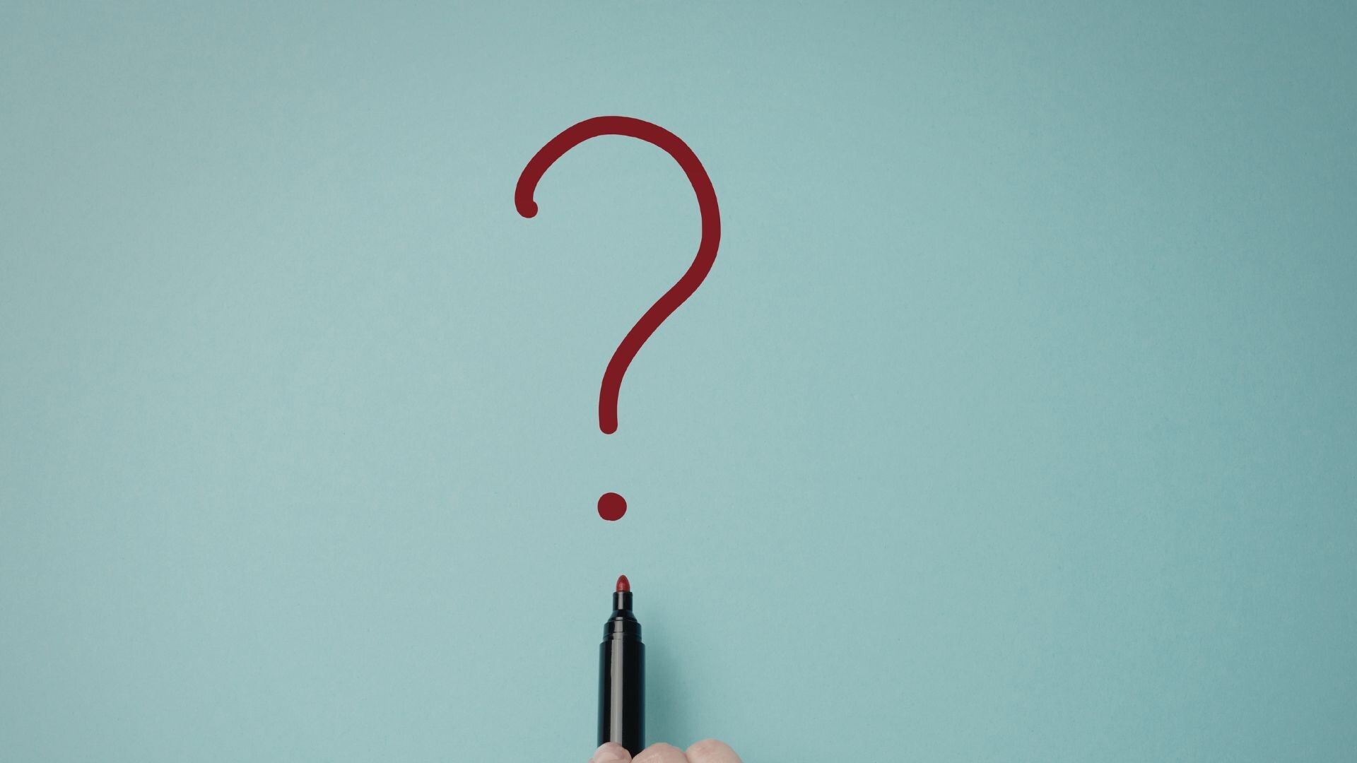 źródło fotografii: Canva.com